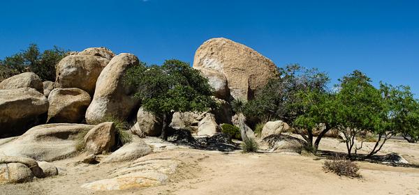 Texas Canyon