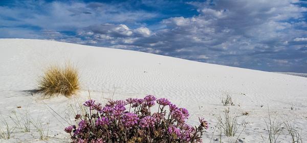 White Sands National Monument