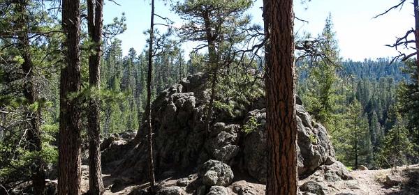 Jemez Falls