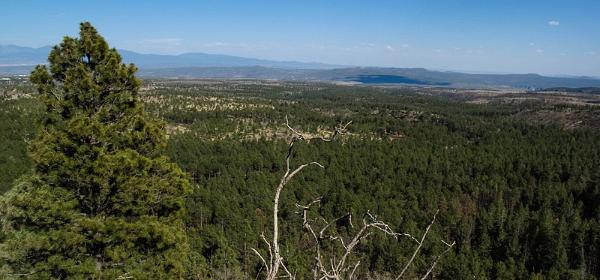 Bandelier National Monument