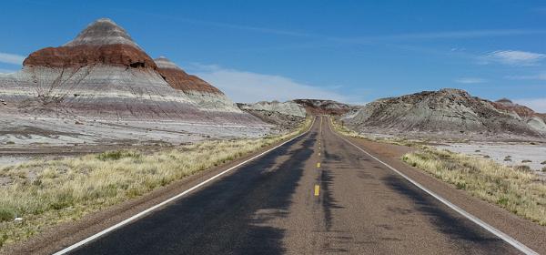 Petrified Forest NP